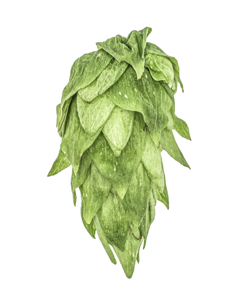 Krush Hops