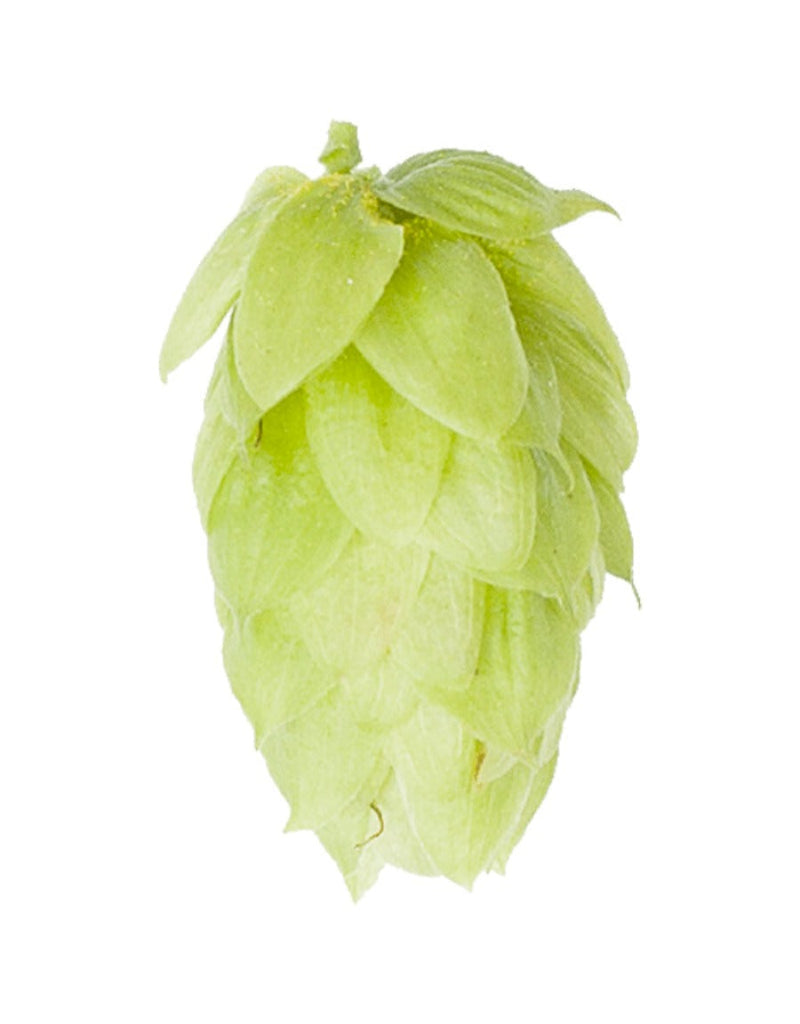 Magnum Hops