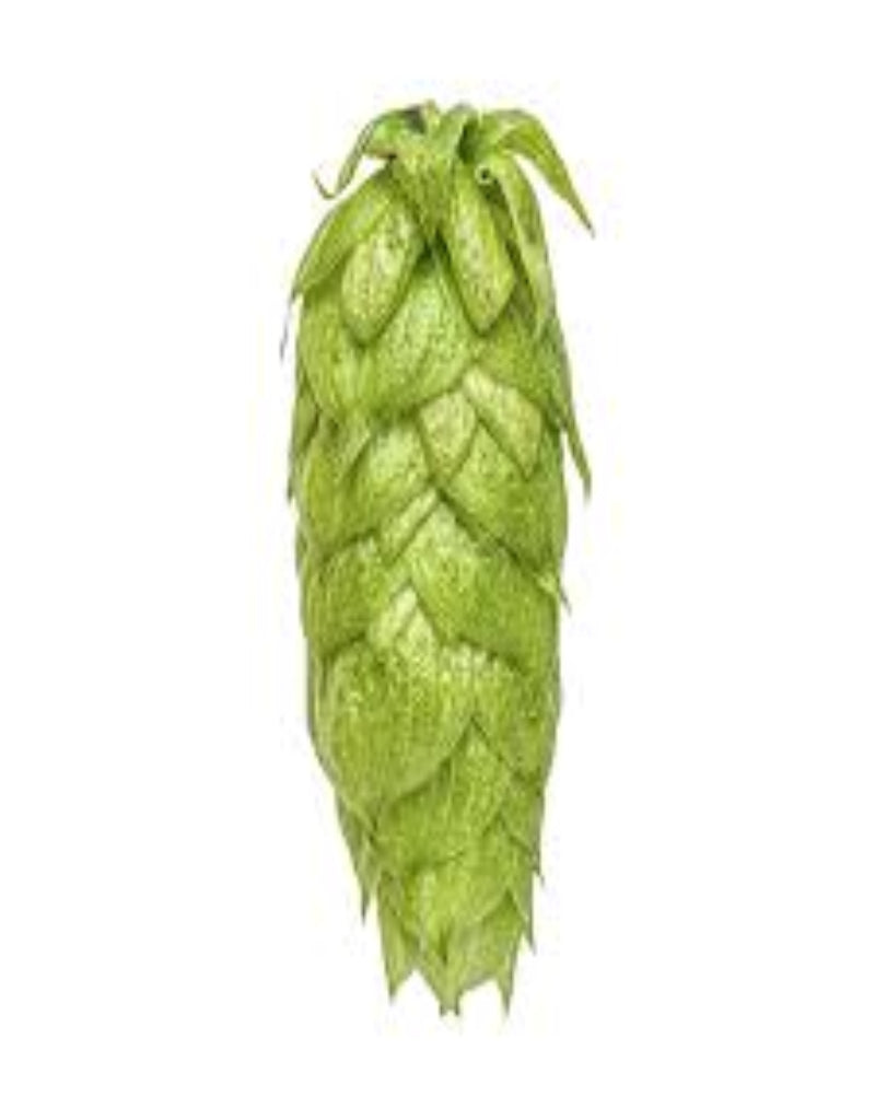 Nelson Sauvin Hops