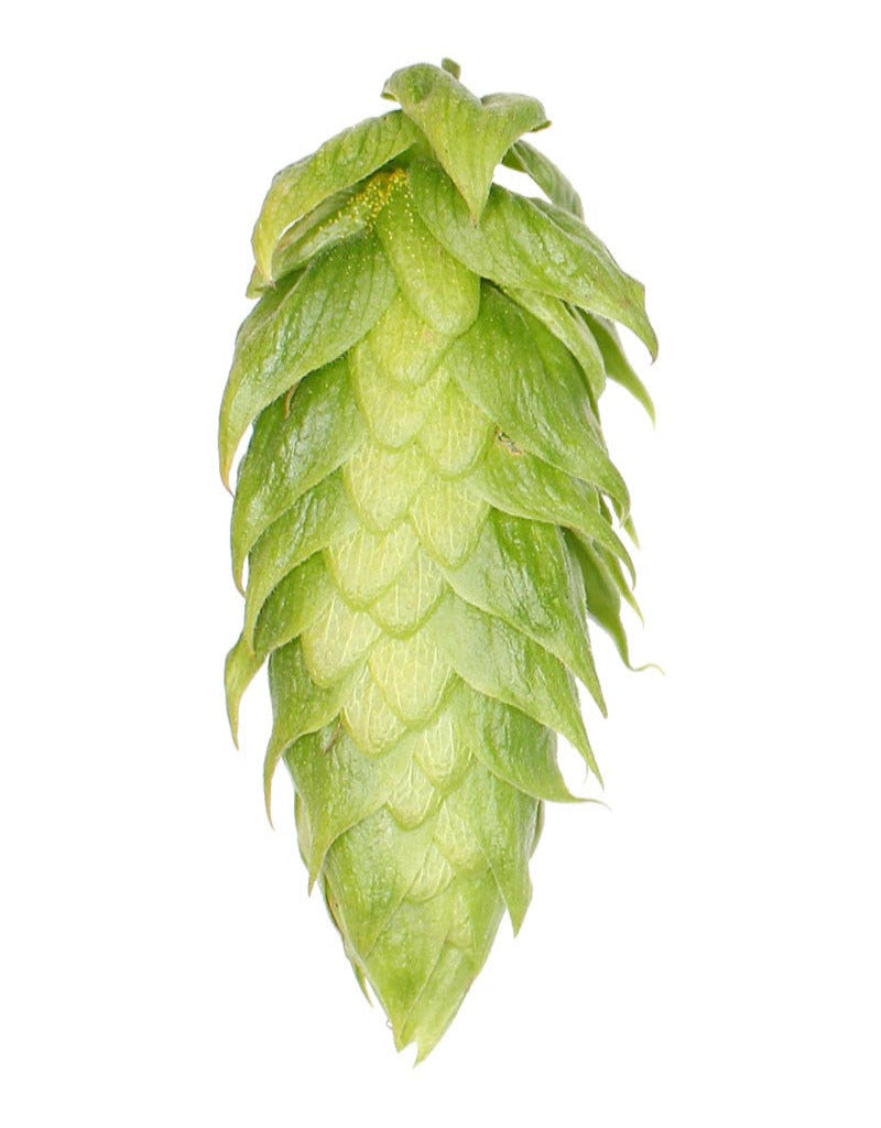 El Dorado Hops