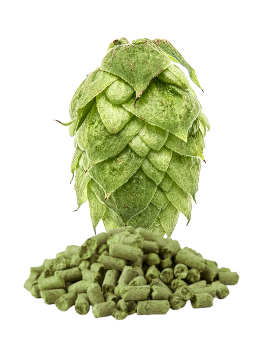 Columbus Hops
