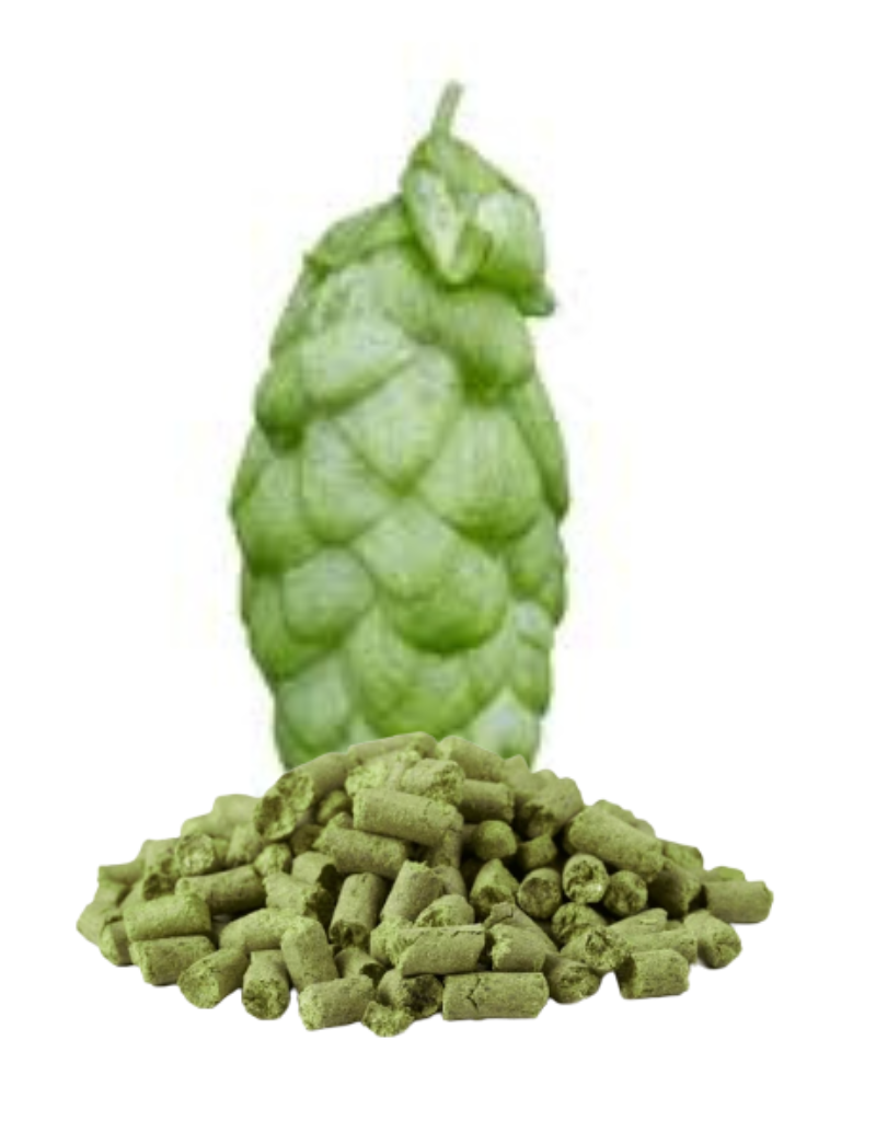 East Kent Golding Pellet Hops