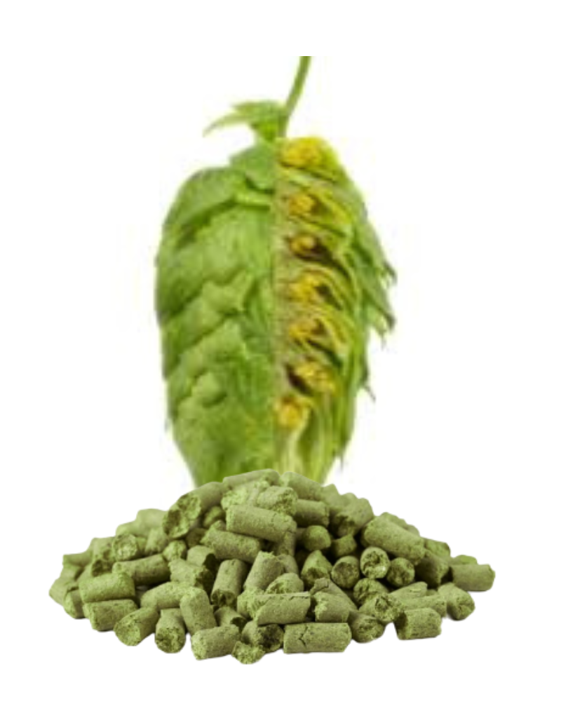 Hallertauer Mittelfrüh Pellet Hops