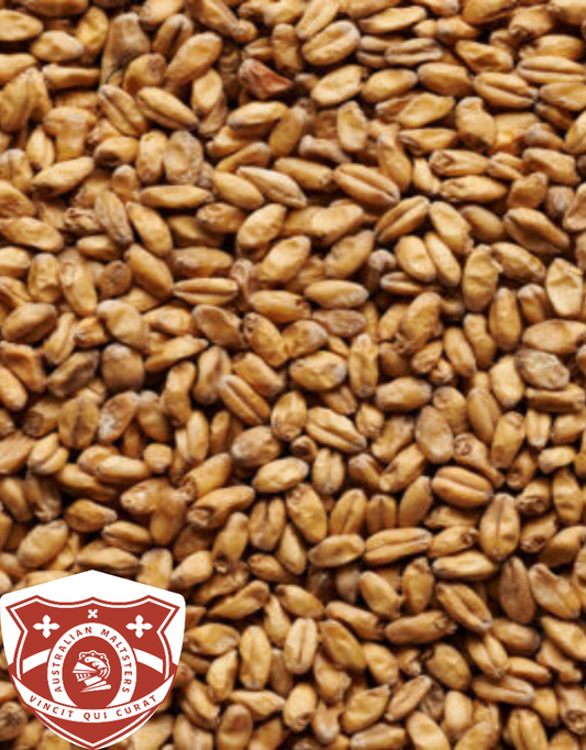 Joe White Wheat Ale - 500g