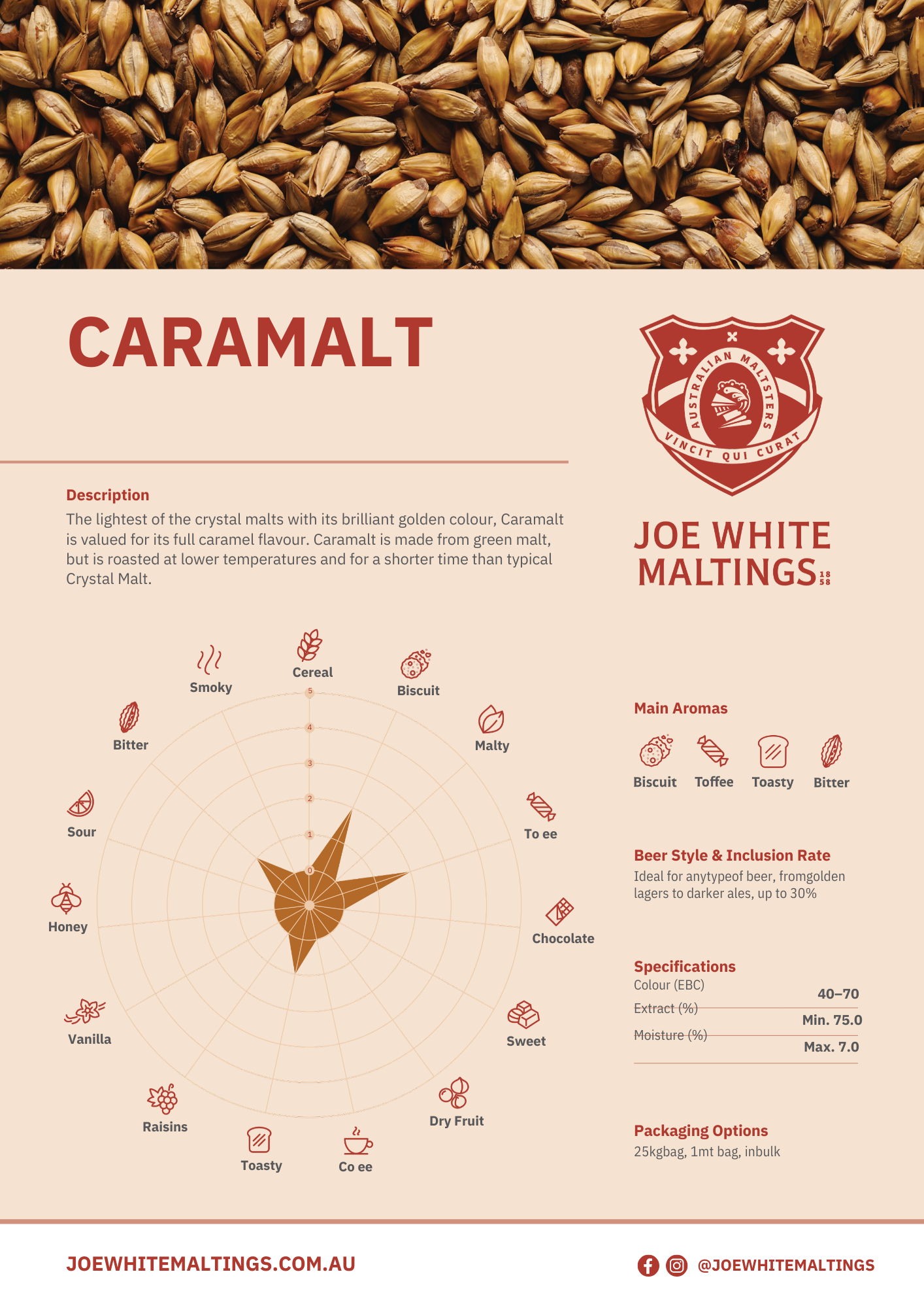 Joe White Caramalt - 100g