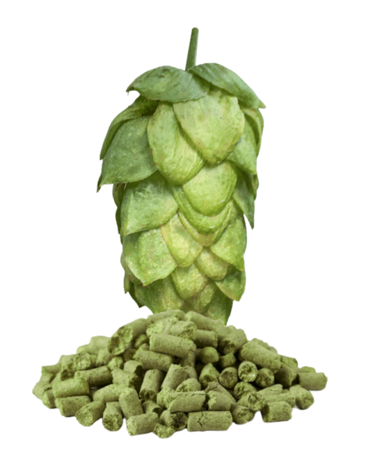 Saaz Pellet Hops
