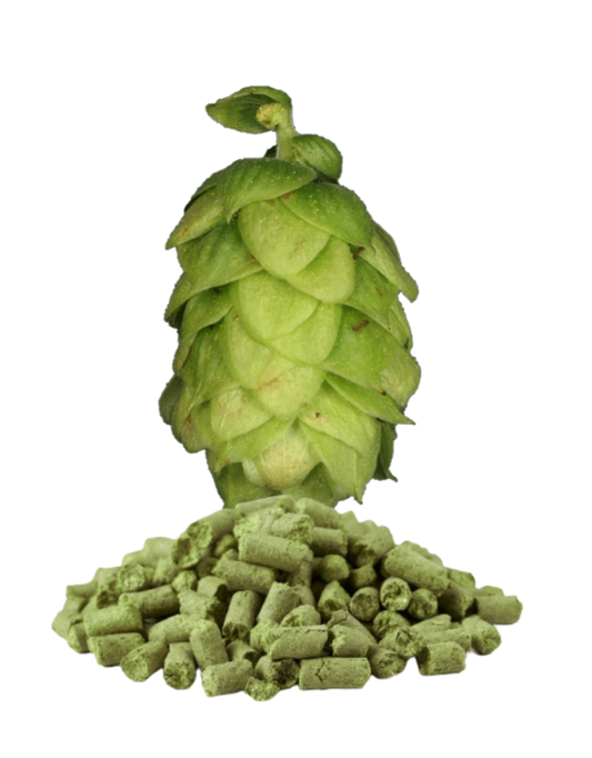 Tettnanger Pellet Hops