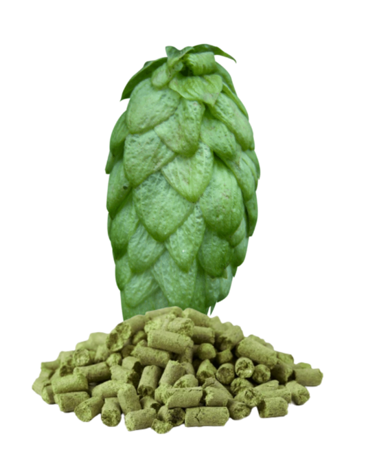 UK Fuggles Pellet Hops