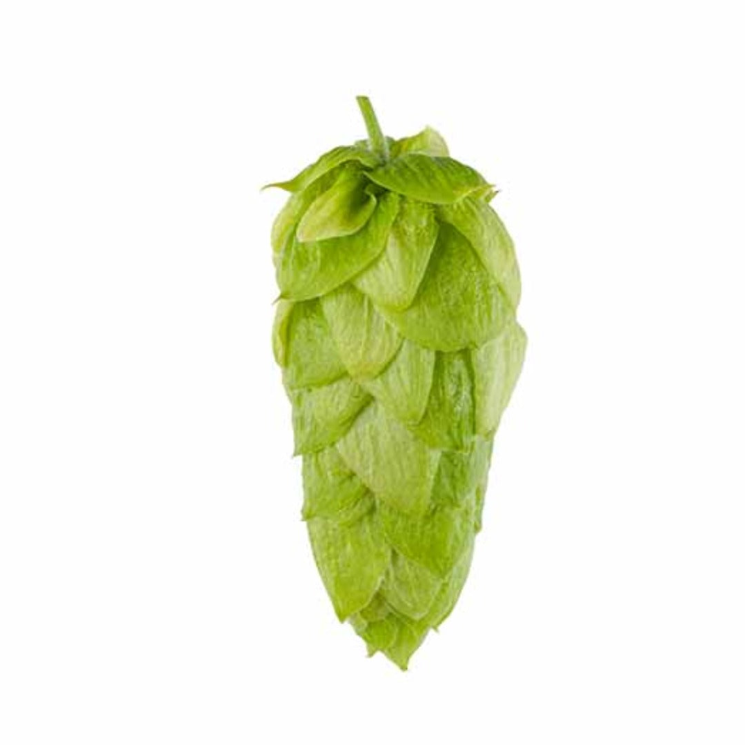 Superdelic Hops