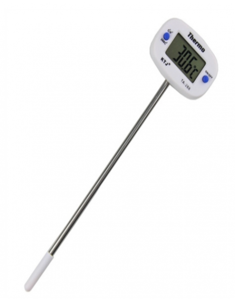 6″ Digital Thermometer